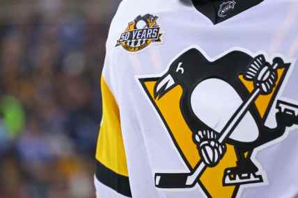 Penguins fan was stabbed in the head with a screwdriver but stayed to finish watching the game