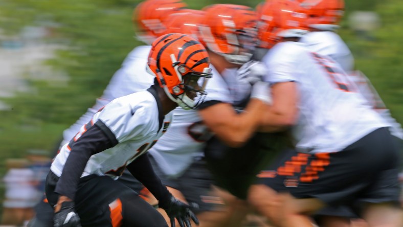 Cincinnati Bengals WR Josh Ross during training camp