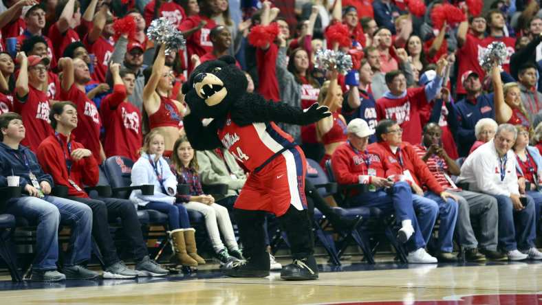 Ole Miss Rebels mascot Rebel the Bear