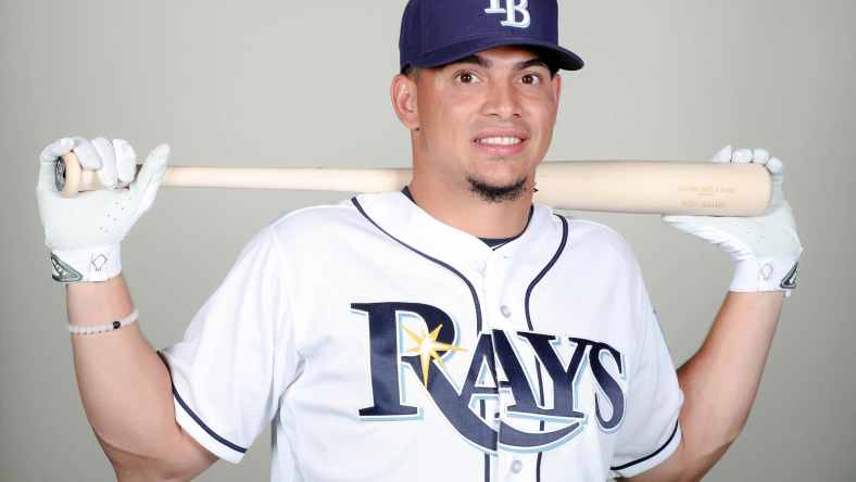 The Rays promoted shortstop Willy Adames