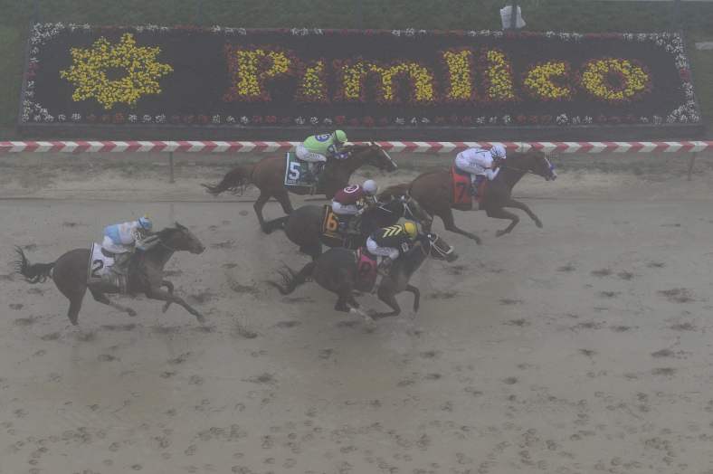 Justify wins the 2018 Preakness Stakes