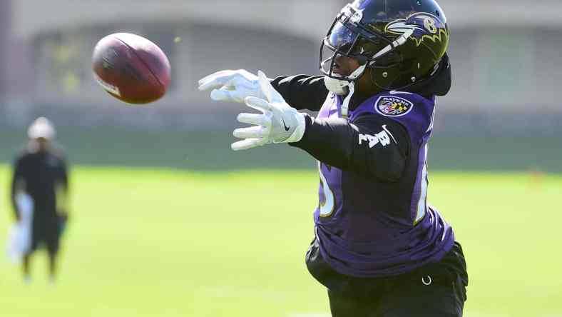 Ravens receiver Michael Crabtree