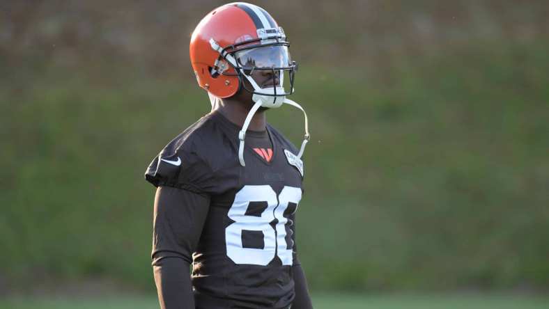 Browns receiver Ricardo Louis