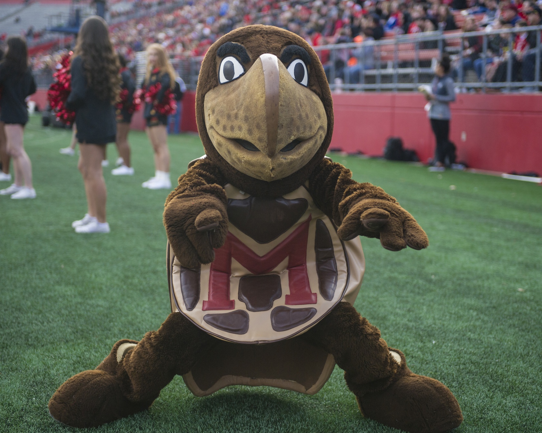 Watch Mascots Engage In Game Of Patty Cake During Maryland
