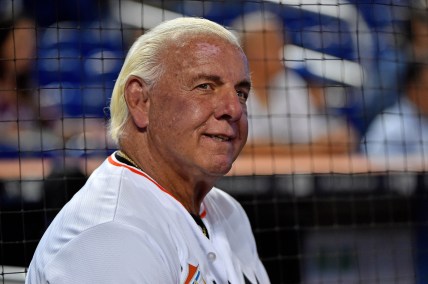 Ric Flair