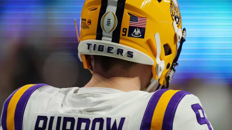 Joe Burrow, NFL