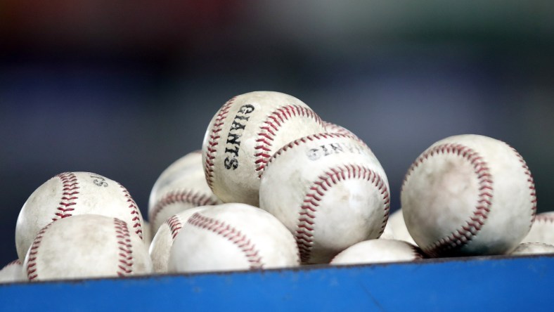 Baseballs before a Nippon Professional Baseball game