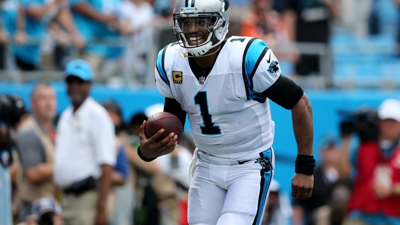 Cam Newton, NFL