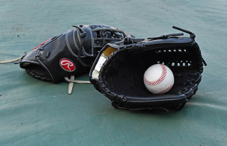 Gloves and baseball at MLB stadiun