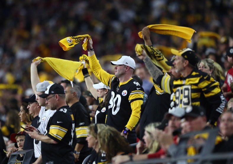 Pittsburgh Steelers fans at NFL game