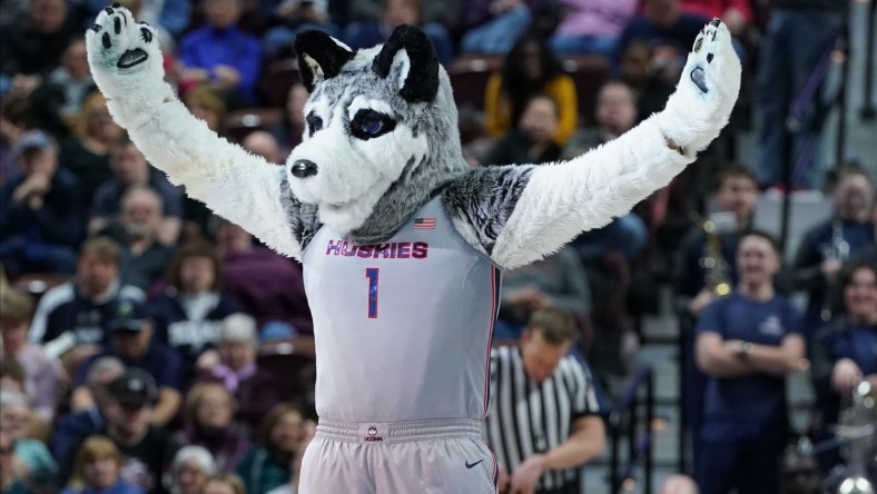 UConn Huskies mascot