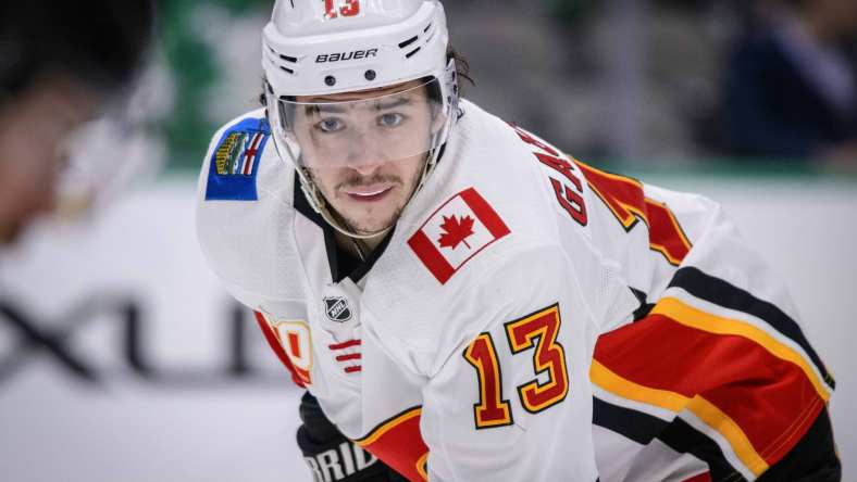 Calgary Flames left wing Johnny Gaudreau