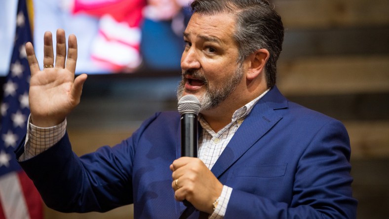 Senator Ted Cruz speaks at rally in Texas