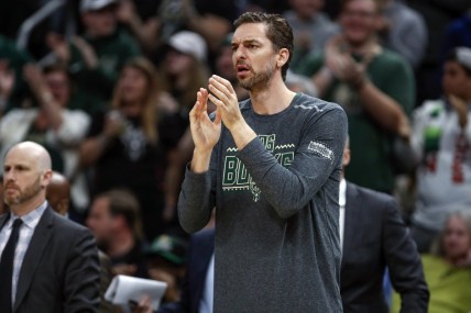 Mar 9, 2019; Milwaukee, WI, USA; Milwaukee Bucks center Pau Gasol (17) applauds his team against the Charlotte Hornets during the first half at Wisconsin Entertainment and Sports Center. Mandatory Credit: Kamil Krzaczynski-USA TODAY Sports