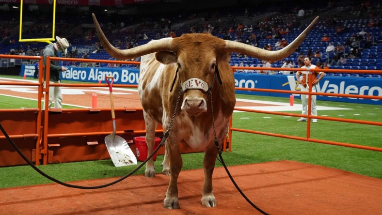 Dec 29, 2020; San Antonio, TX, USA; Texas Longhorns mascot Bevo XV during the Alamo Bowl against the Colorado Buffaloes at the Alamodome. Mandatory Credit: Kirby Lee-USA TODAY Sports