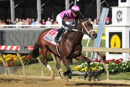 May 14, 2021; Baltimore, Maryland, USA; Last Judgement with jockey Jose Ortiz wins the Pimlico Special at Pimlico Race Course. Mandatory Credit: Mitch Stringer-USA TODAY Sports