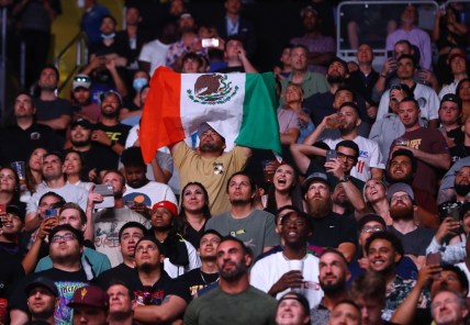 Jun 12, 2021; Glendale, Arizona, USA; A fan of Brandon Moreno holds a Mexico flag in the crowd during UFC 263 at Gila River Arena. Mandatory Credit: Mark J. Rebilas-USA TODAY Sports