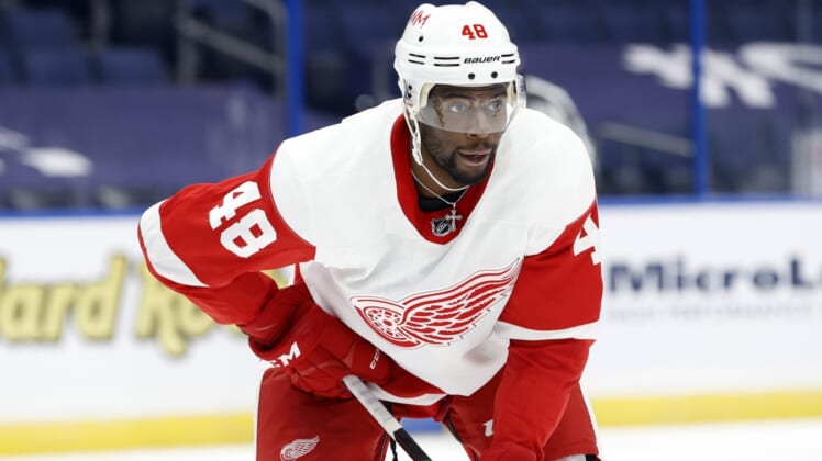 Feb 5, 2021; Tampa, Florida, USA; Detroit Red Wings left wing Givani Smith (48) looks on against the Tampa Bay Lightning  during the second period at Amalie Arena. Mandatory Credit: Kim Klement-USA TODAY Sports