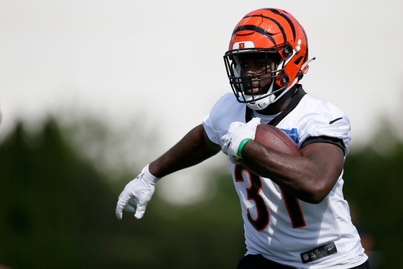 Cincinnati Bengals running back Jacques Patrick (31) runs the ball during training camp practice at the Paul Brown Stadium practice field in downtown Cincinnati on Monday, Aug. 2, 2021.

Cincinnati Bengals Camp
