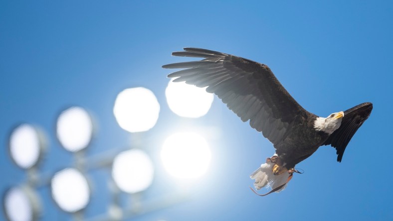 Auburn war eagle Independence flies before the game at Jordan-Hare Stadium in Auburn, Ala., on Saturday, Sept. 4, 2021. Auburn Tigers leads Akron Zips 37-0.