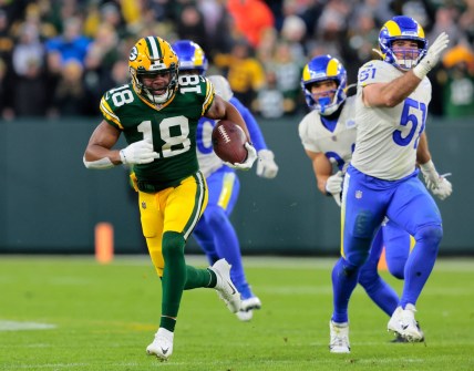 Green Bay Packers wide receiver Randall Cobb (18) breaks away for a long reception and first down against the Los Angeles Rams in the first quarte during their football game Sunday, November 28, 2021, at Lambeau Field in Green Bay, Wis. Dan Powers/USA TODAY NETWORK-Wisconsin

Apc Packvsrams 1128210352djp