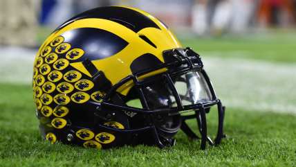 5 Michigan Wolverines coaching candidates if Jim Harbaugh returns to NFL