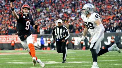 NFL releases explanation on referee’s erroneous whistle, missed call in Raiders vs Bengals playoff game