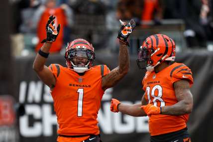 Cincinnati Bengals on X: .@Real10jayy__ now holds the rookie record for  most receiving yards in a season (1,429) and a single game (266) in the  Super Bowl era. He can definitely see