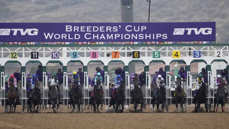 breeders' cup