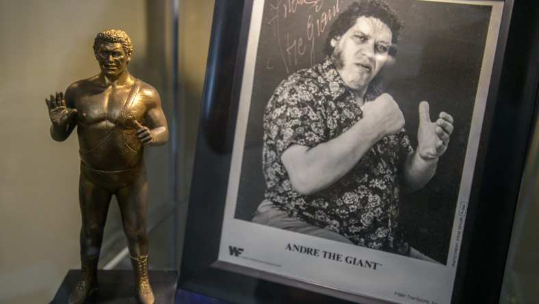 andre the giant