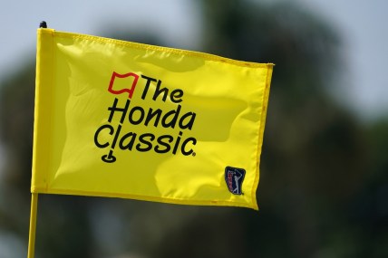 Mar 18, 2021; Palm Beach Gardens, Florida, USA; A general view of the pin flag on the 18th green during the first round of The Honda Classic golf tournament at PGA National (Champion). Mandatory Credit: Jasen Vinlove-USA TODAY Sports