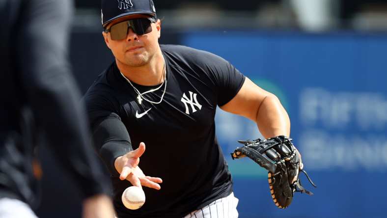 Luke Voit, New York Yankees, San Diego Padres