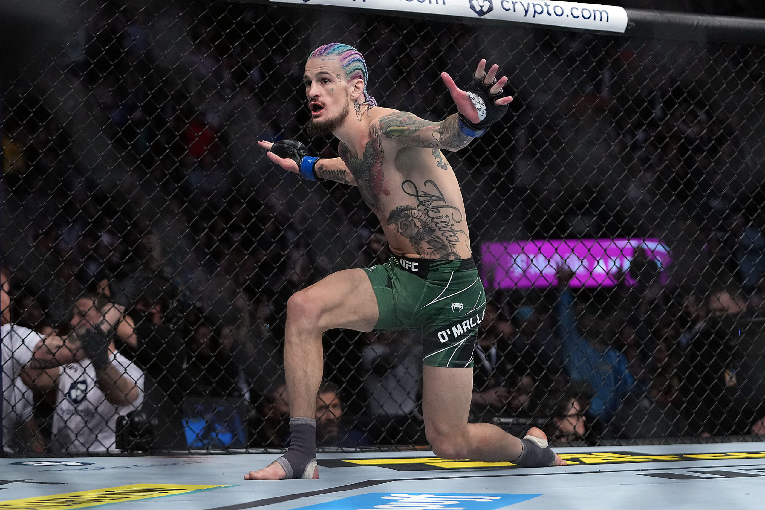 5 bold UFC Predictions for UFC 292, including an upset victory for Sugar Sean OMalley