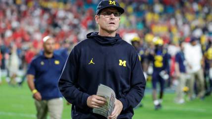 Jim Harbaugh opens up about Minnesota Vikings interview