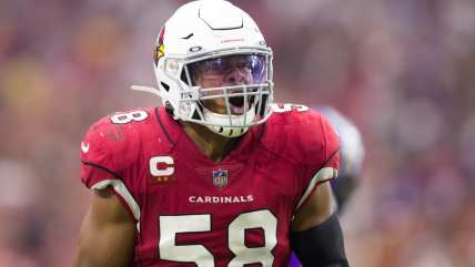 Minnesota Vikings add Jordan Hicks to linebacker corps