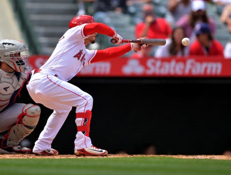 Apr 28, 2022; Anaheim, California, USA;  Los Angeles Angels shortstop Andrew Velazquez (4) bunts his way to first  on a throwing error by Cleveland Guardians starting pitcher Cal Quantrill (47) in the third inning of the game at Angel Stadium. Mandatory Credit: Jayne Kamin-Oncea-USA TODAY Sports