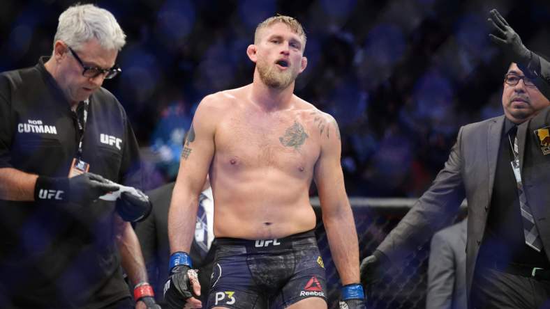 alexander gustafsson, nikita krylov, ufc