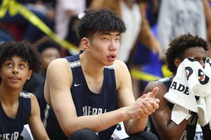NBA Draft: Is 7-foot-3 teen Harold Yu the second coming of Yao Ming?