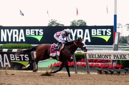 2023 Belmont Stakes horses, top odds, and predictions