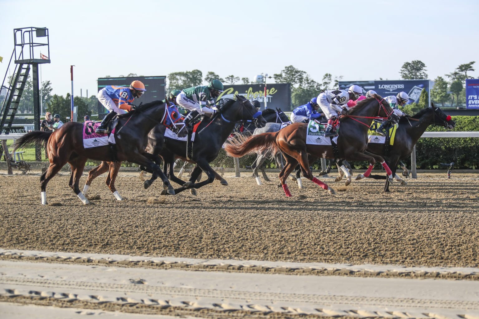 2023 Belmont Stakes horses, top odds, and predictions