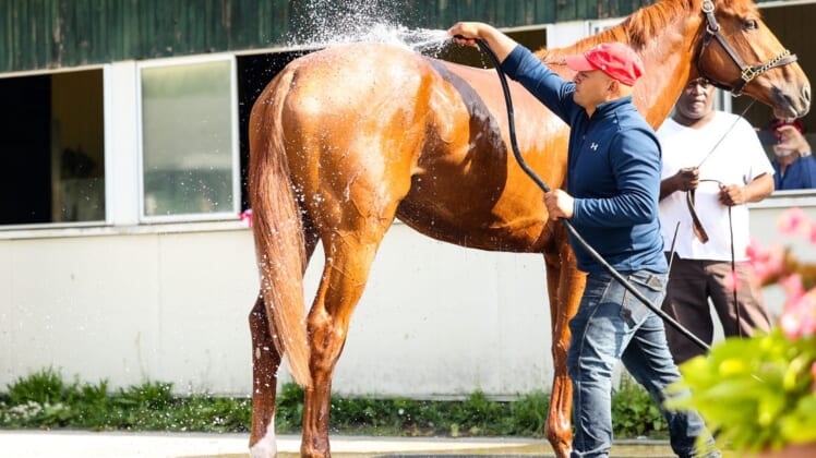 Jun 8, 2022; Elmont, NY, USA; Belmont horse Rich Strike gets a bath from staff at Belmont Park Racetrack. Mandatory Credit: Jessica Alcheh-USA TODAY Sports
