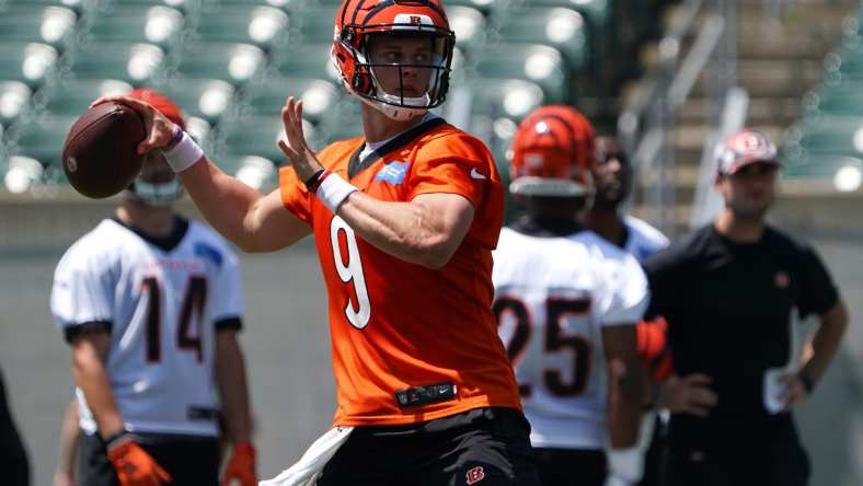 Bengals training camp