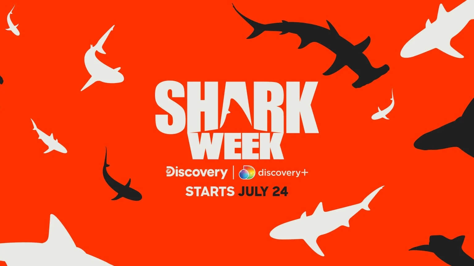 How to Watch Shark Week Online (2023): Discovery Channel Without Cable
