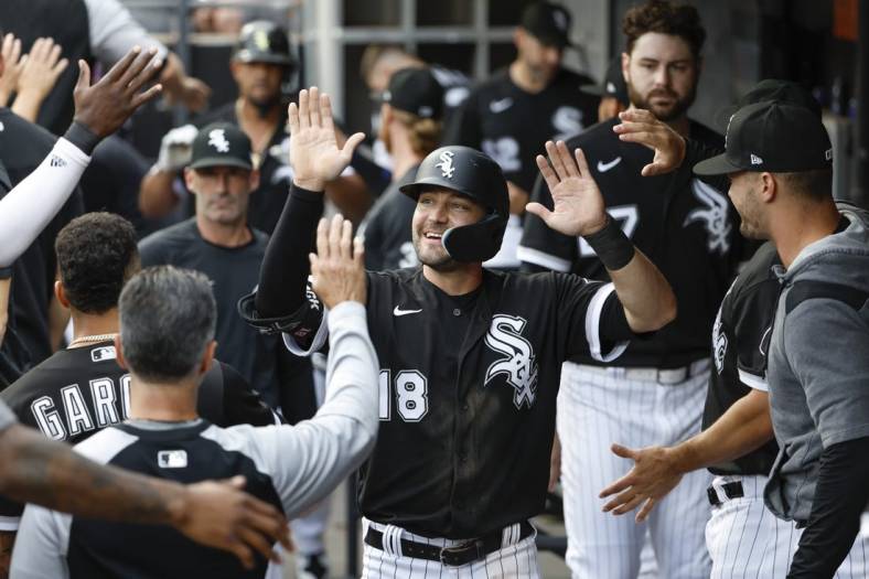Aug 13, 2022; Chicago, Illinois, USA; Chicago White Sox left fielder AJ Pollock (18) celebrates with teammates after scoring against the Detroit Tigers during the first inning at Guaranteed Rate Field. Mandatory Credit: Kamil Krzaczynski-USA TODAY Sports
