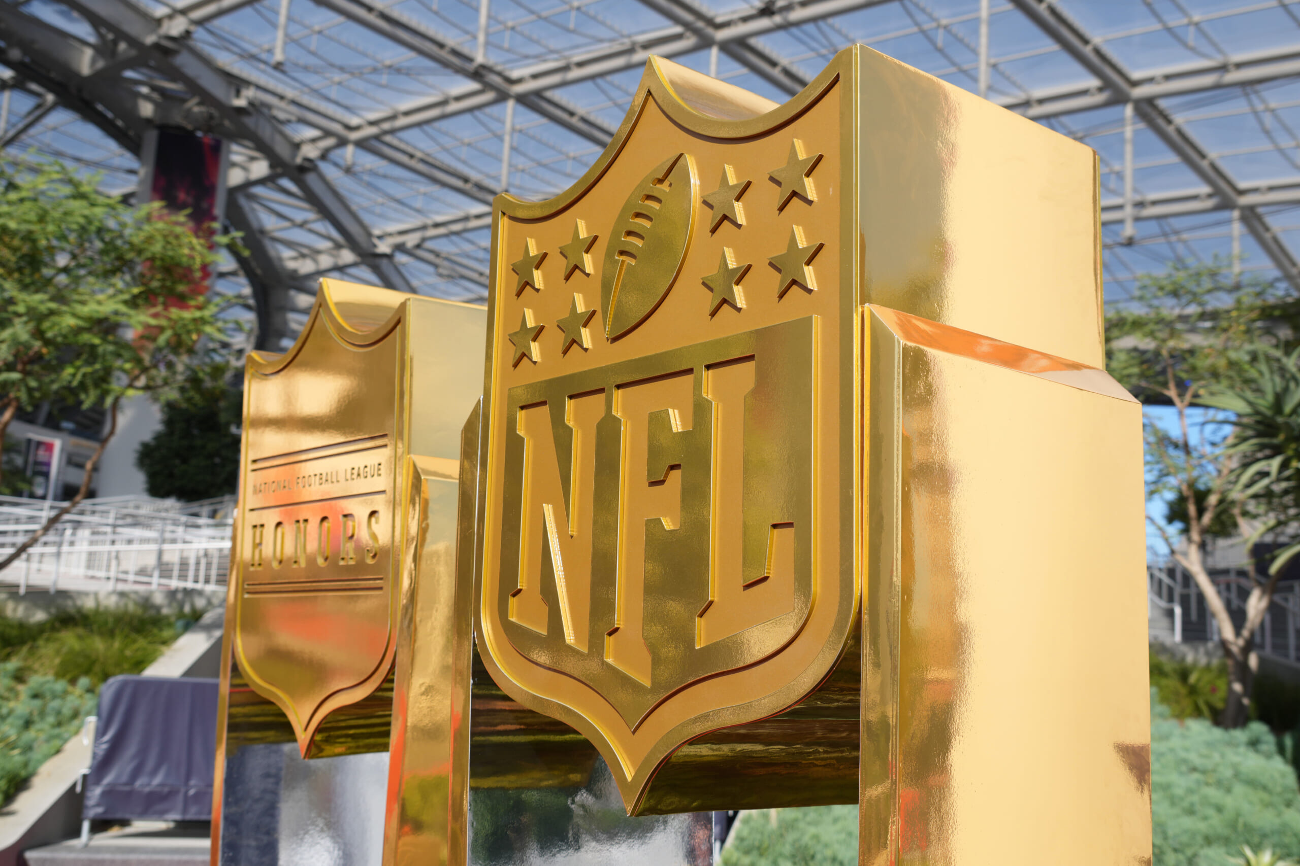 Aims For 'New Sports Holiday For NFL Fans' On Black Friday – Deadline