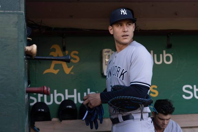 New York Yankees first baseman Anthony Rizzo to resume baseball