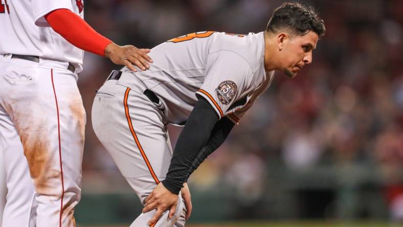 Sep 27, 2022; Boston, Massachusetts, USA; Baltimore Orioles third baseman Ramon Urias (29) reacts after injuring his knee during the fifth inning against the Boston Red Sox at Fenway Park. Mandatory Credit: Paul Rutherford-USA TODAY Sports