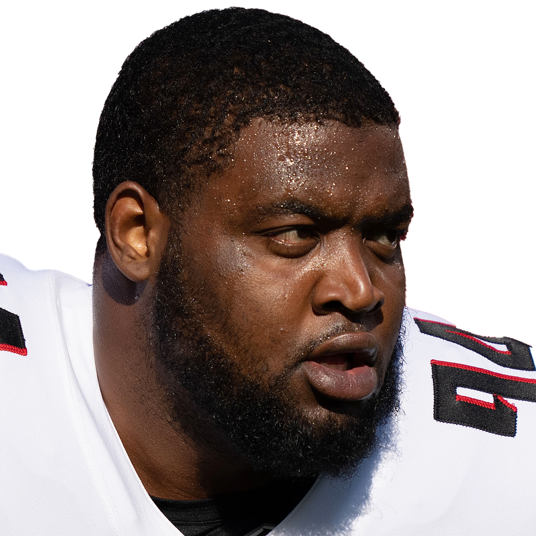 Atlanta Falcons NFL defensive tackle Anthony Rush