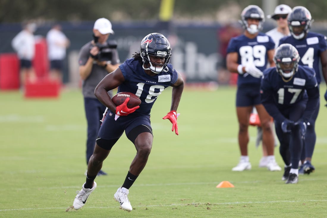 Tennessee Titans wide receiver Chris Conley lays out to snag his