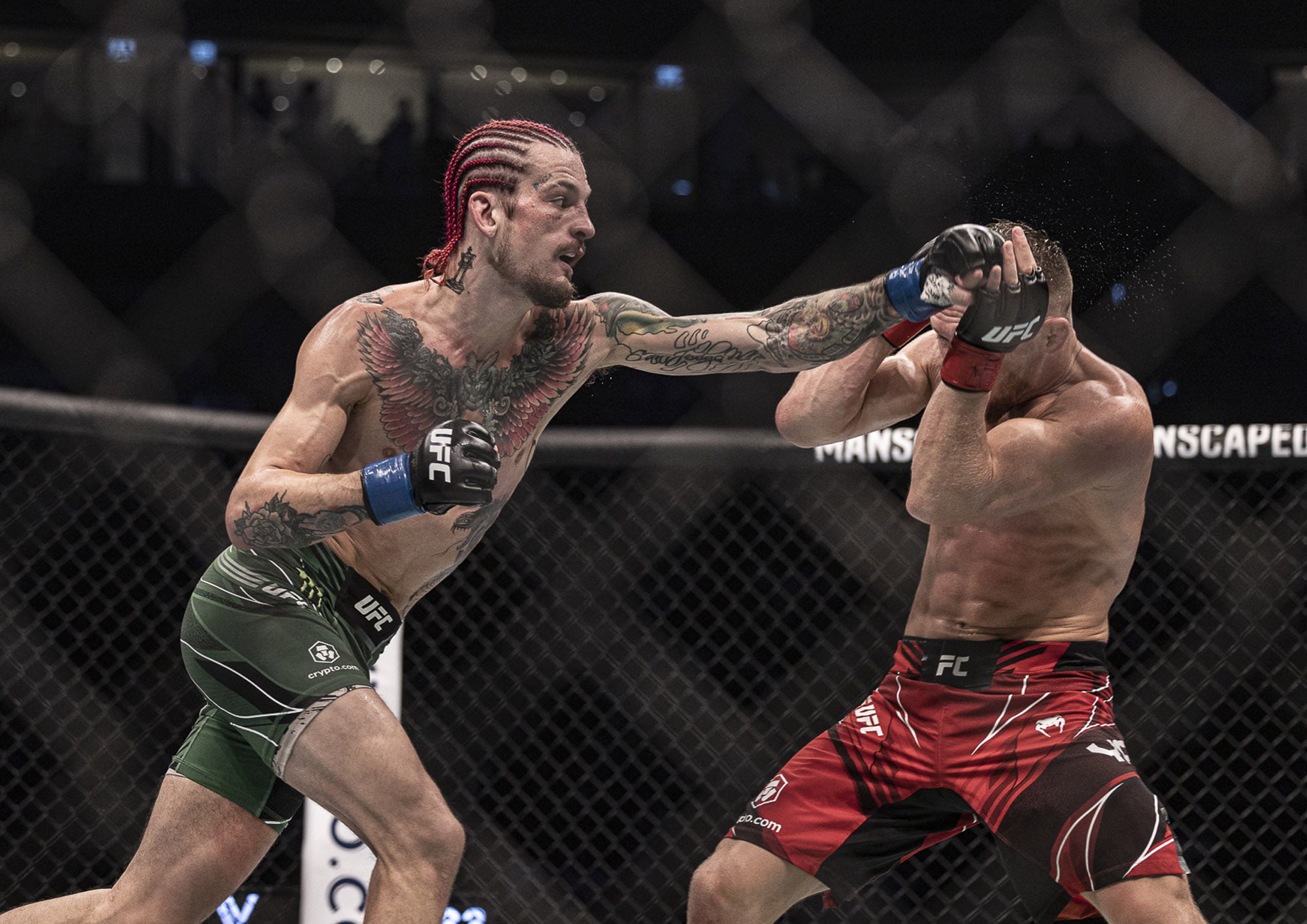 Sean O'Malley next fight 3 opponent options, including Rob Font